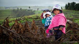 Una mirada integral a la situación de la primera infancia en Ecuador 