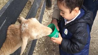 ¿Y si existiera una herramienta que permitiera realizar una inversión más sólida en el desarrollo infantil temprano?