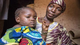 Lecciones de Niger